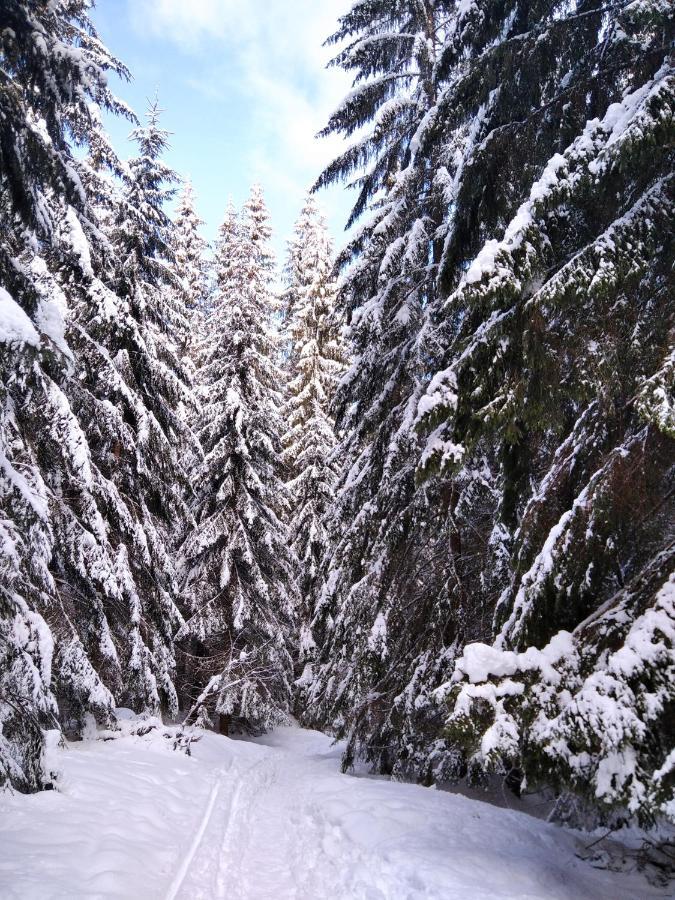 Ski apartmány Spiežovec Donovaly Exterior foto